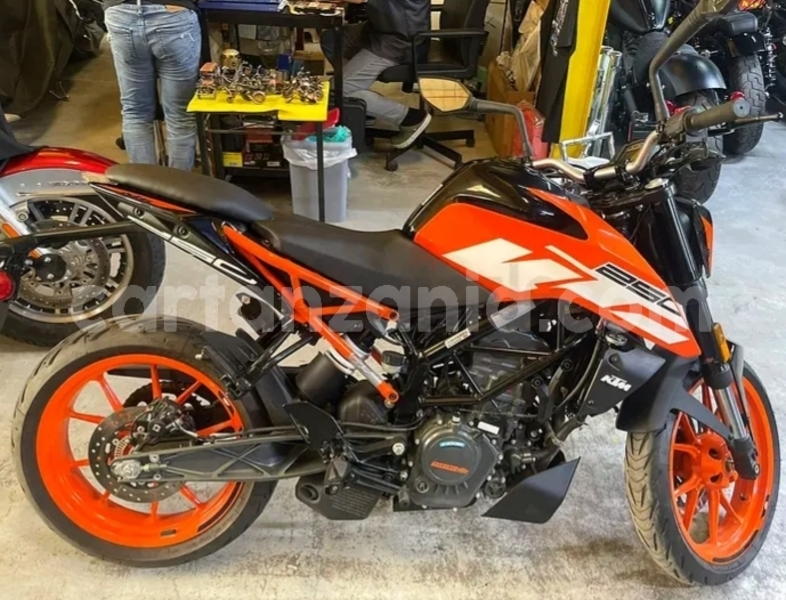 Big with watermark ktm duke arusha arusha 30961