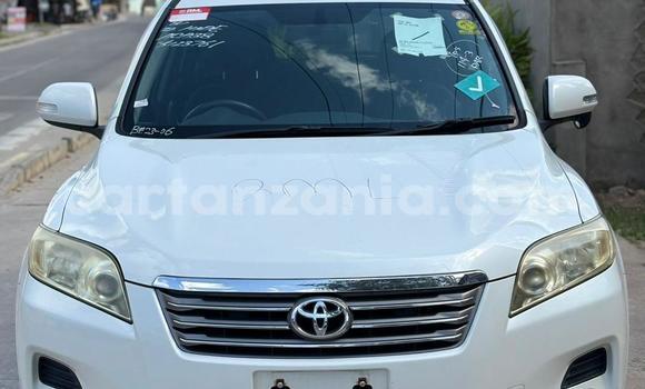 Nunua Mpya Toyota Vanguard Nyeupe Gari ndani ya Dar es Salaam nchini Dar es Salaam Nunua Mpya Toyota Vanguard Nyeupe Gari ndani ya Dar es Salaam nchini Dar es Salaam