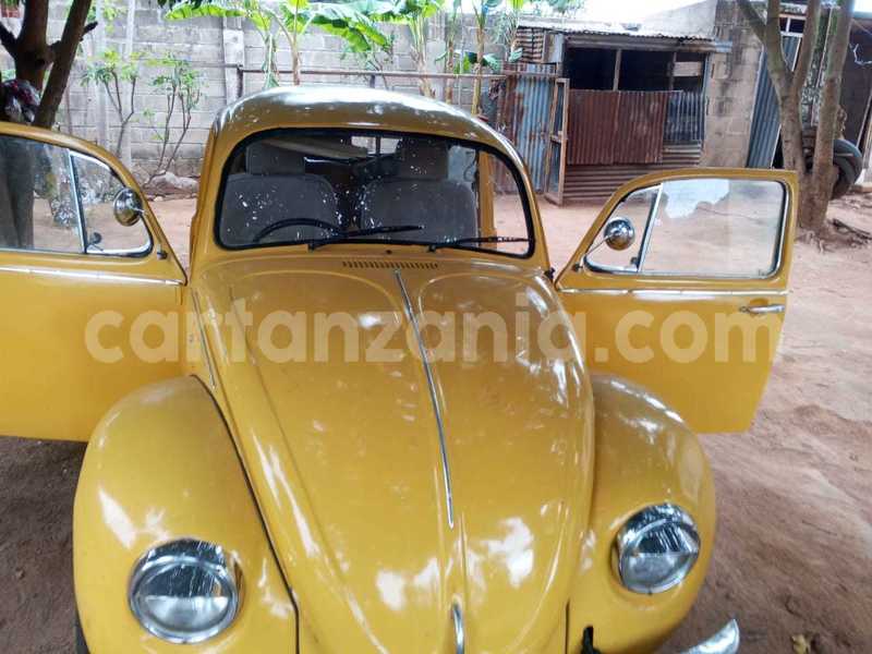 Big with watermark volkswagen beetle mwanza mwanza 31047