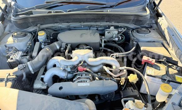 Buy Import Subaru Forester Silver Car in Dar es Salaam in Dar es Salaam Buy Import Subaru Forester Silver Car in Dar es Salaam in Dar es Salaam