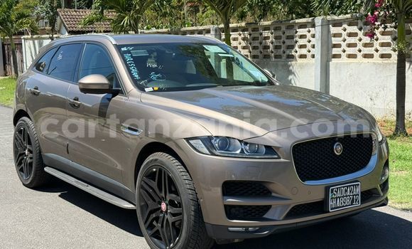 Nunua Ilio tumika Land Rover Freelander Brown Gari ndani ya Dar es Salaam nchini Dar es Salaam Nunua Ilio tumika Land Rover Freelander Brown Gari ndani ya Dar es Salaam nchini Dar es Salaam