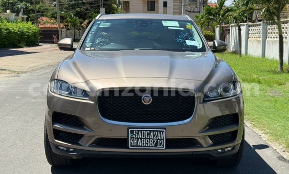 Nunua Ilio tumika Land Rover Freelander Brown Gari ndani ya Dar es Salaam nchini Dar es Salaam Nunua Ilio tumika Land Rover Freelander Brown Gari ndani ya Dar es Salaam nchini Dar es Salaam