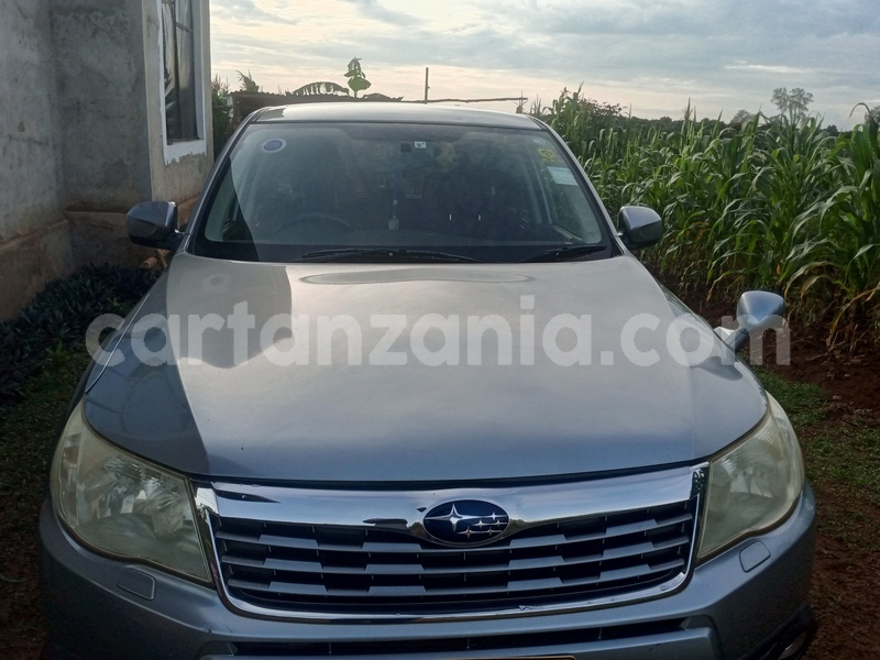 Big with watermark subaru forester kagera bukoba rural 31164