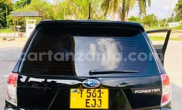 Buy Used Subaru Forester Black Car in Butiama in Mara Buy Used Subaru Forester Black Car in Butiama in Mara