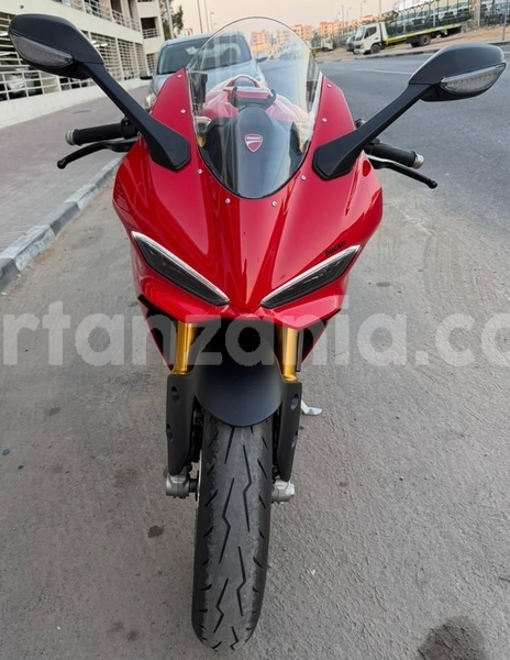 Big with watermark ducati panigale arusha arusha 31199