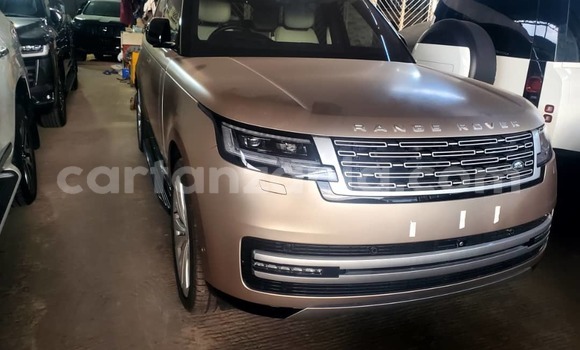 Nunua Imported Land Rover Range Rover Vogue Beige Gari ndani ya Dar es Salaam nchini Dar es Salaam