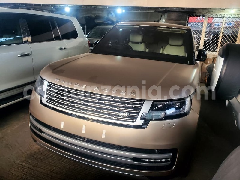 Big with watermark land rover range rover vogue dar es salaam dar es salaam 31201