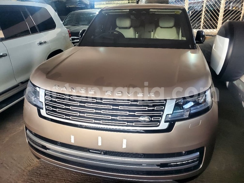 Big with watermark land rover range rover vogue dar es salaam dar es salaam 31201