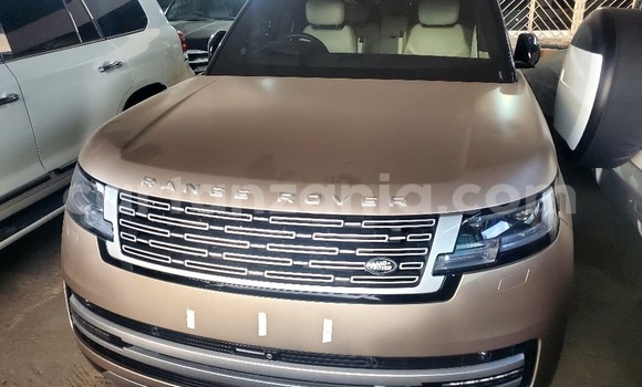 Buy Import Land Rover Range Rover Vogue Beige Car in Dar es Salaam in Dar es Salaam Buy Import Land Rover Range Rover Vogue Beige Car in Dar es Salaam in Dar es Salaam