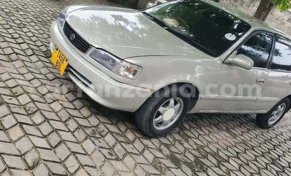 Nunua Ilio tumika Toyota Corolla Nyingine Gari ndani ya Dar es Salaam nchini Dar es Salaam Nunua Ilio tumika Toyota Corolla Nyingine Gari ndani ya Dar es Salaam nchini Dar es Salaam
