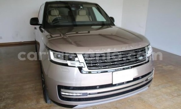 Nunua Mpya Land Rover Range Rover Vogue Nyingine Gari ndani ya Dar es Salaam nchini Dar es Salaam