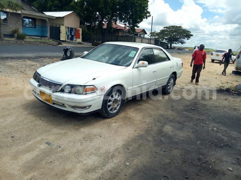 Big with watermark 57593732 135564890858410 2153332495808987136 o