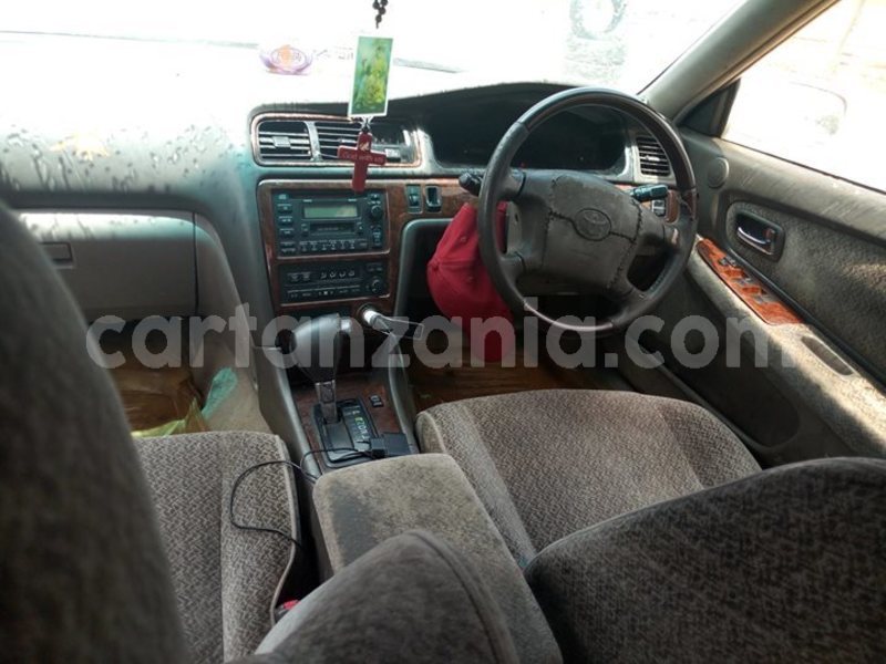 Big with watermark 57585111 135564804191752 7597574173396828160 o