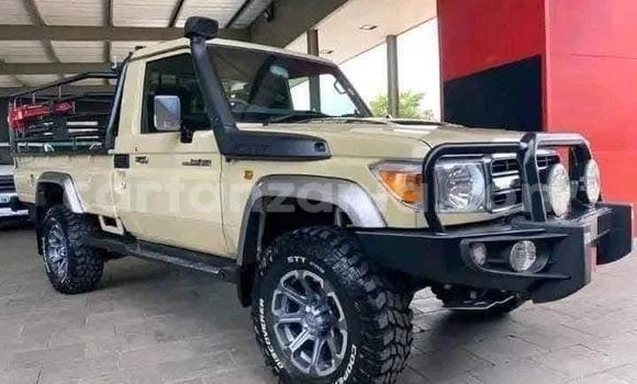 Buy Used Toyota Land Cruiser Beige Car in Serengeti in Mara