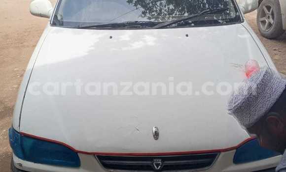 Buy Used Toyota Corolla White Car in Dar es Salaam in Dar es Salaam Buy Used Toyota Corolla White Car in Dar es Salaam in Dar es Salaam