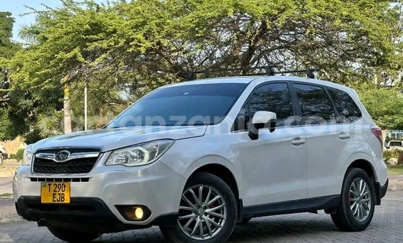 Nunua Ilio tumika Subaru Forester Nyingine Gari ndani ya Bahi nchini Dodoma Nunua Ilio tumika Subaru Forester Nyingine Gari ndani ya Bahi nchini Dodoma
