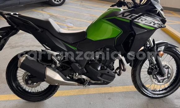 Buy Used Kawasaki VERSYS Green Bike in Arusha in Arusha