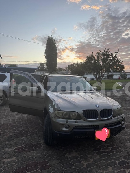Big with watermark bmw x5 dar es salaam dar es salaam 31488
