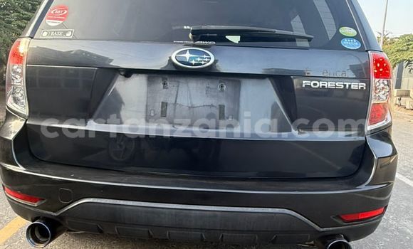 Buy New Subaru Forester Black Car in Dar es Salaam in Dar es Salaam Buy New Subaru Forester Black Car in Dar es Salaam in Dar es Salaam