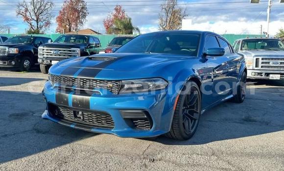 Buy Used Dodge Charger Blue Car in Dar es Salaam in Dar es Salaam