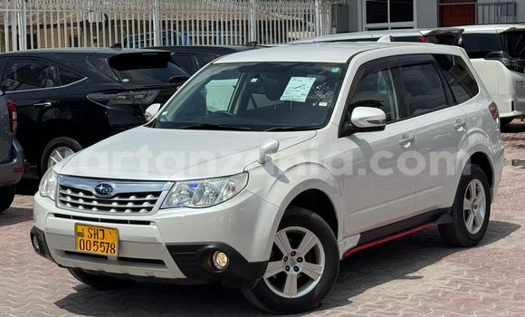 Buy Import Subaru Forester White Car in Dar es Salaam in Dar es Salaam