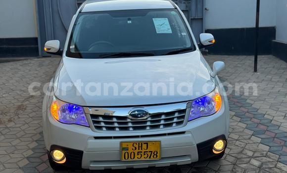 Buy Import Subaru Forester White Car in Dar es Salaam in Dar es Salaam Buy Import Subaru Forester White Car in Dar es Salaam in Dar es Salaam