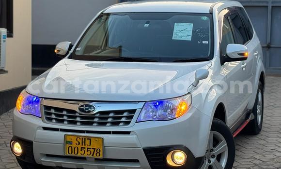 Buy Import Subaru Forester White Car in Dar es Salaam in Dar es Salaam Buy Import Subaru Forester White Car in Dar es Salaam in Dar es Salaam