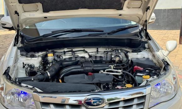 Buy Import Subaru Forester White Car in Dar es Salaam in Dar es Salaam Buy Import Subaru Forester White Car in Dar es Salaam in Dar es Salaam