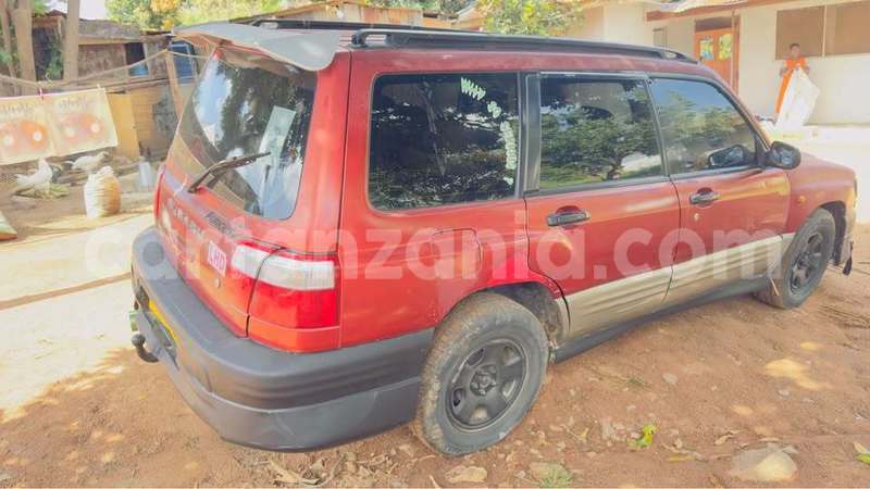 Big with watermark subaru forester mwanza mwanza 31649