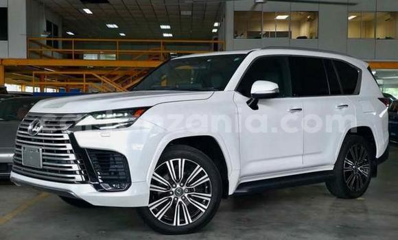 Buy Used Lexus LX White Car in Dar es Salaam in Dar es Salaam