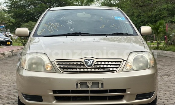 Nunua Imported Toyota Allex Nyingine Gari ndani ya Dar es Salaam nchini Dar es Salaam