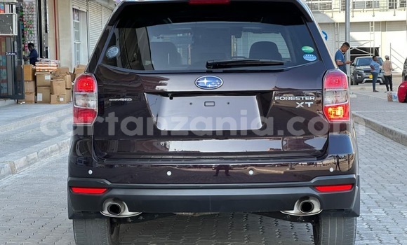 Buy Import Subaru Forester Other Car in Dar es Salaam in Dar es Salaam Buy Import Subaru Forester Other Car in Dar es Salaam in Dar es Salaam