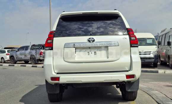 Buy Import Toyota Land Cruiser Prado White Car in Import - Dubai in Arusha Buy Import Toyota Land Cruiser Prado White Car in Import - Dubai in Arusha