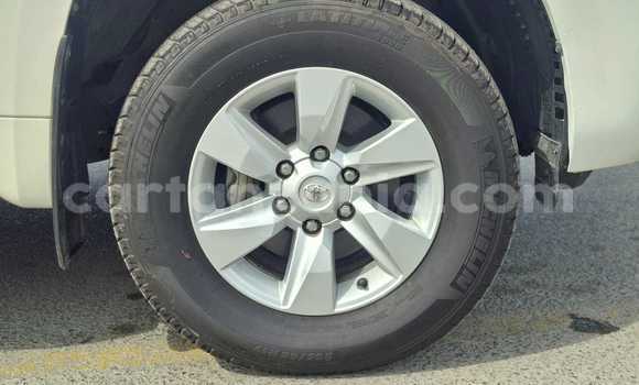 Buy Import Toyota Land Cruiser Prado White Car in Import - Dubai in Arusha Buy Import Toyota Land Cruiser Prado White Car in Import - Dubai in Arusha