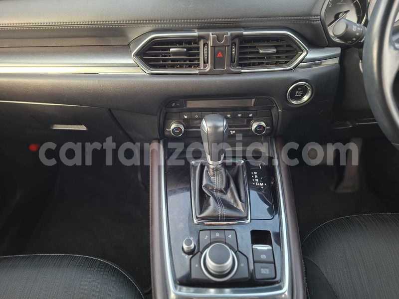 Big with watermark mazda cx 8 arusha import dubai 31881