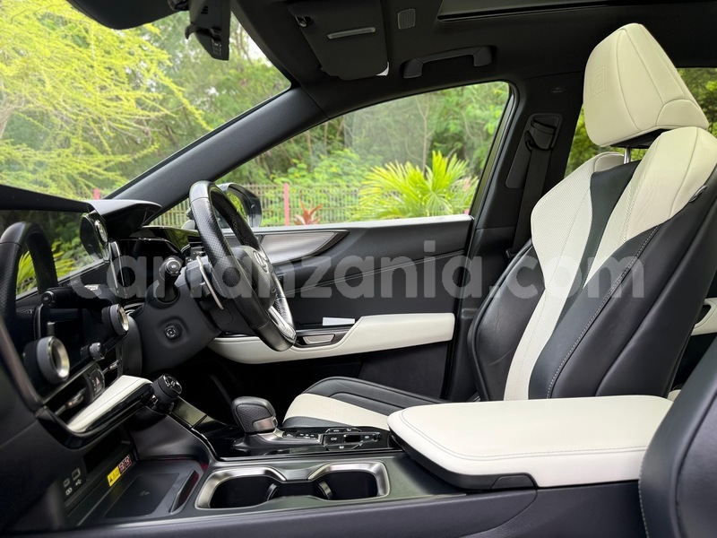 Big with watermark lexus nx dar es salaam dar es salaam 31931