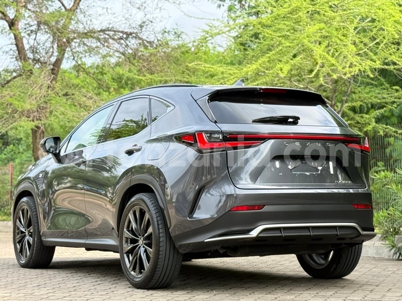 Big with watermark lexus nx dar es salaam dar es salaam 31931