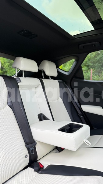 Big with watermark lexus nx dar es salaam dar es salaam 31931