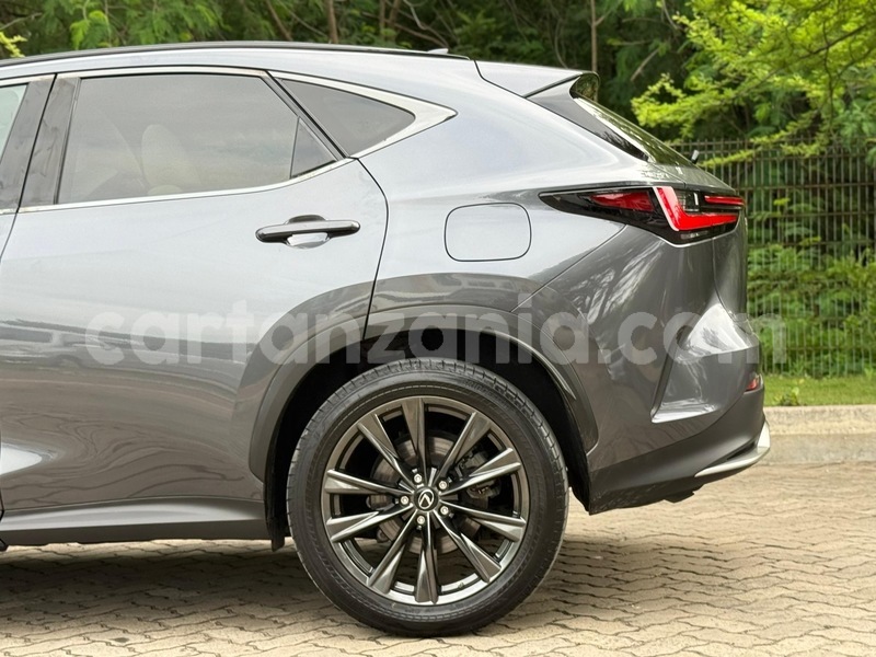 Big with watermark lexus nx dar es salaam dar es salaam 31931