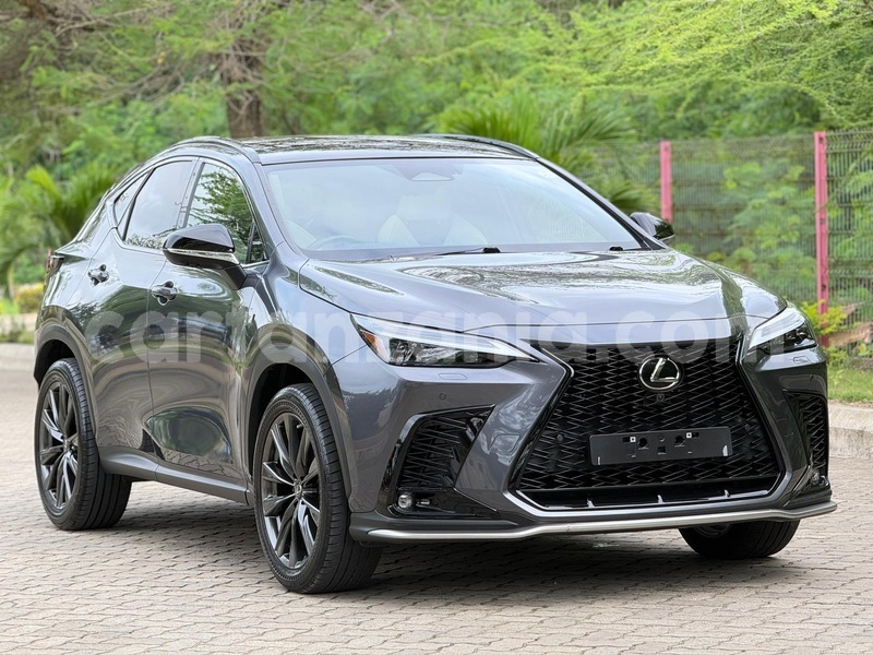 Big with watermark lexus nx dar es salaam dar es salaam 31940