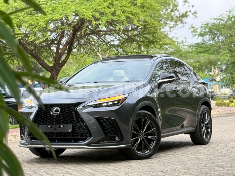 Big with watermark lexus nx dar es salaam dar es salaam 31940