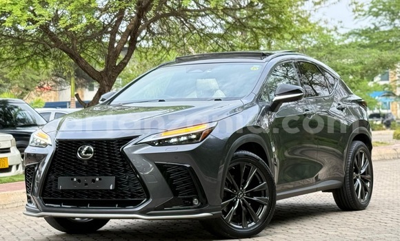 Nunua Imported Lexus NX Nyingine Gari ndani ya Dar es Salaam nchini Dar es Salaam Nunua Imported Lexus NX Nyingine Gari ndani ya Dar es Salaam nchini Dar es Salaam