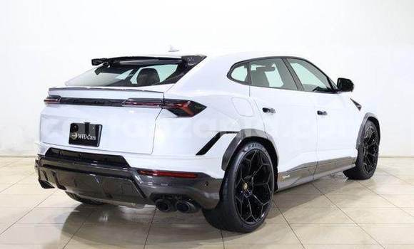 Buy Import Lamborghini Urus White Car in Kahama in Shinyanga Buy Import Lamborghini Urus White Car in Kahama in Shinyanga
