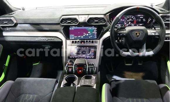 Buy Import Lamborghini Urus White Car in Kahama in Shinyanga Buy Import Lamborghini Urus White Car in Kahama in Shinyanga