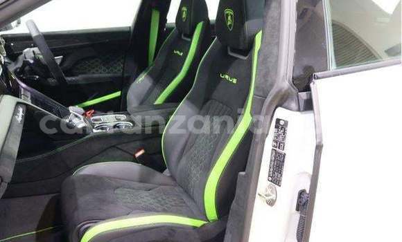 Buy Import Lamborghini Urus White Car in Kahama in Shinyanga Buy Import Lamborghini Urus White Car in Kahama in Shinyanga
