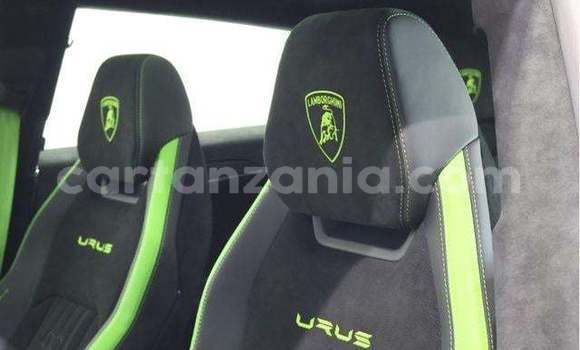 Buy Import Lamborghini Urus White Car in Kahama in Shinyanga Buy Import Lamborghini Urus White Car in Kahama in Shinyanga