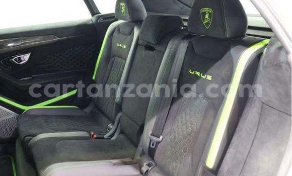 Buy Import Lamborghini Urus White Car in Kahama in Shinyanga Buy Import Lamborghini Urus White Car in Kahama in Shinyanga