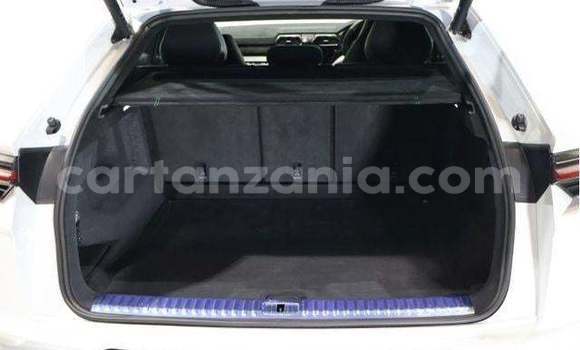 Buy Import Lamborghini Urus White Car in Kahama in Shinyanga Buy Import Lamborghini Urus White Car in Kahama in Shinyanga
