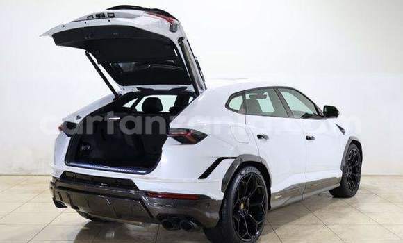 Buy Import Lamborghini Urus White Car in Kahama in Shinyanga Buy Import Lamborghini Urus White Car in Kahama in Shinyanga