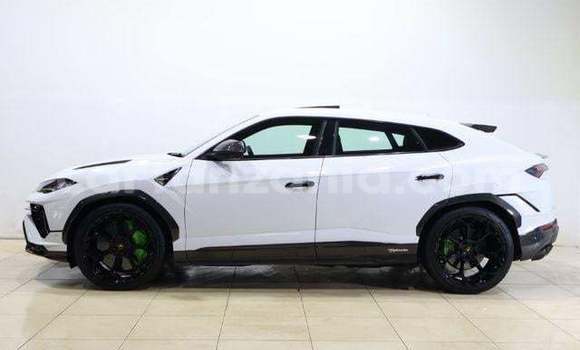 Buy Import Lamborghini Urus White Car in Kahama in Shinyanga Buy Import Lamborghini Urus White Car in Kahama in Shinyanga